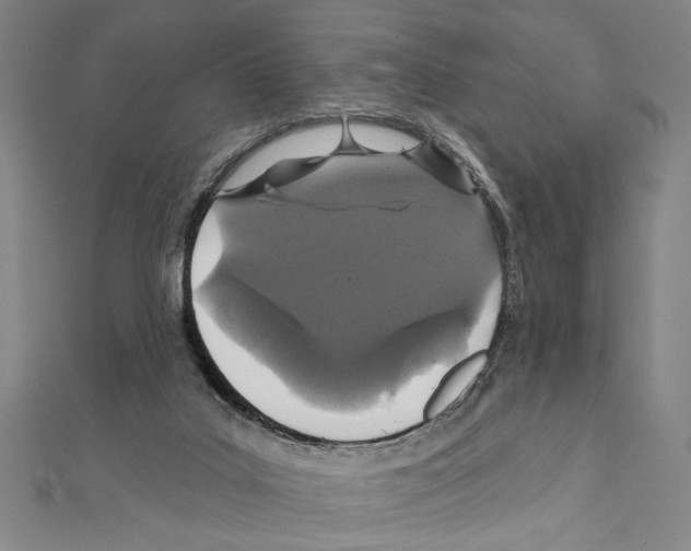 X0000111590019200908271019
