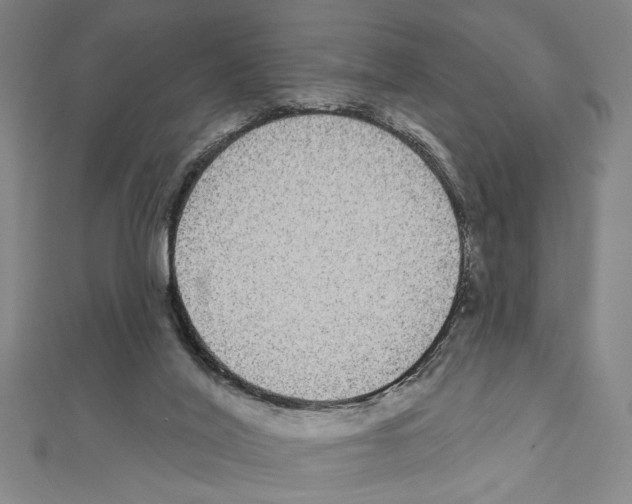 X0000111590020200908271019