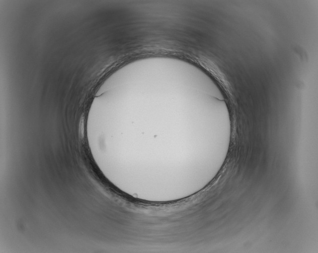 X0000111590021200908271019