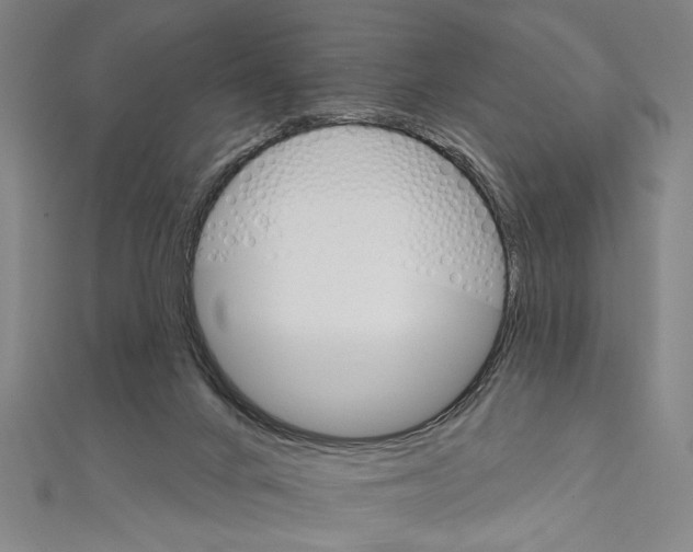X0000111590024200908271019