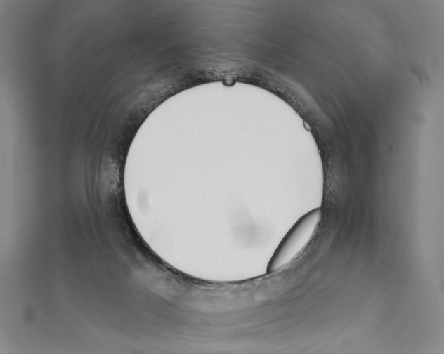 X0000111590025200908271019