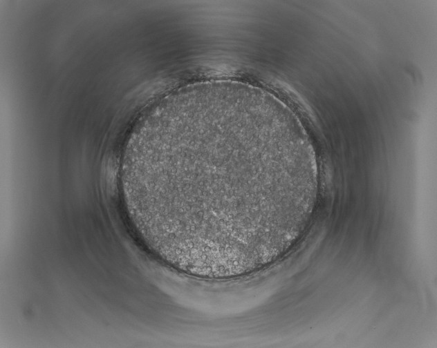 X0000111590026200908271019