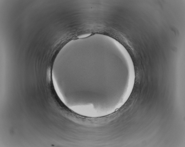 X0000111590027200908271019