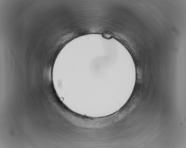 X0000111590028200908271019