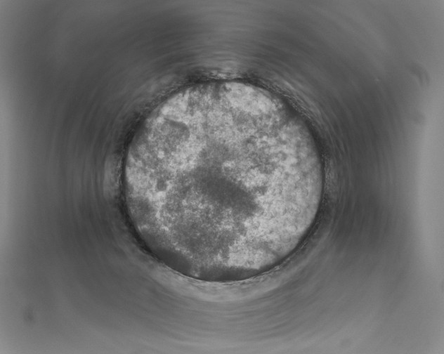 X0000111590030200908271018