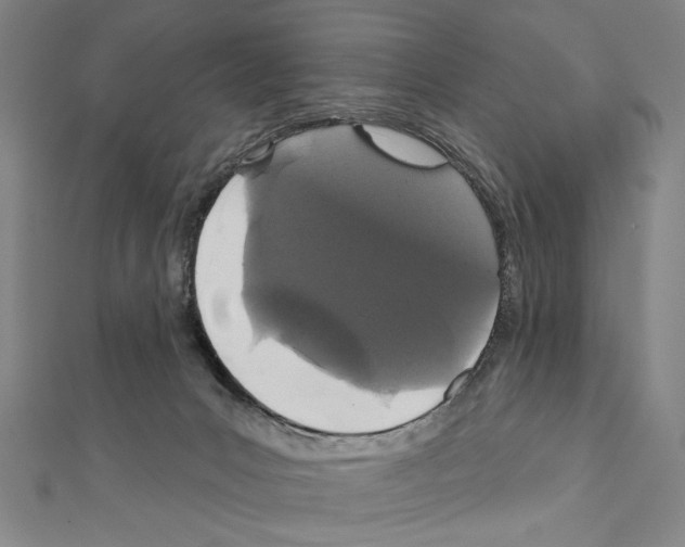 X0000111590031200908271018