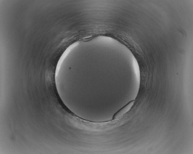 X0000111590035200908271018