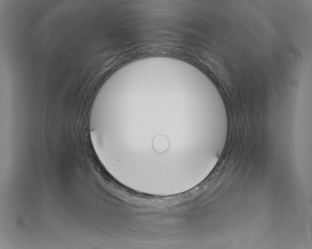 X0000111590036200908271018