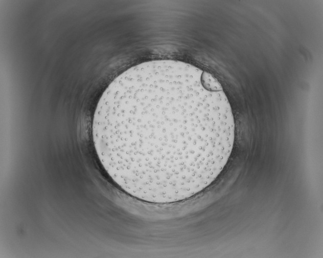 X0000111590038200908271018