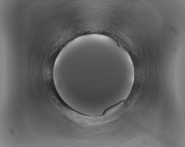 X0000111590039200908271018