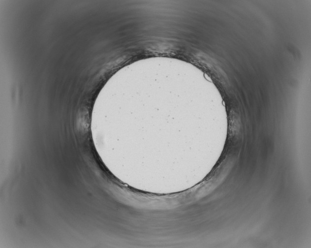 X0000111590040200908271018