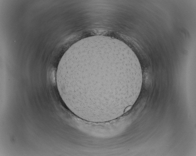 X0000111590042200908271018