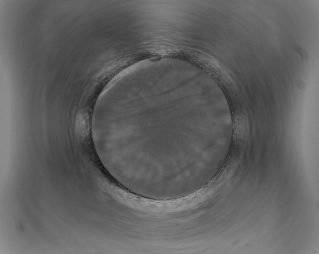 X0000111590043200908271018