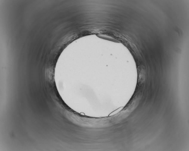 X0000111590044200908271018