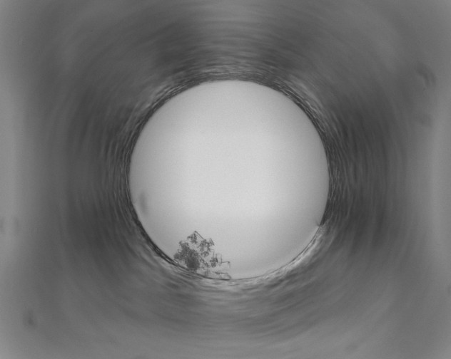 X0000111590045200908271018