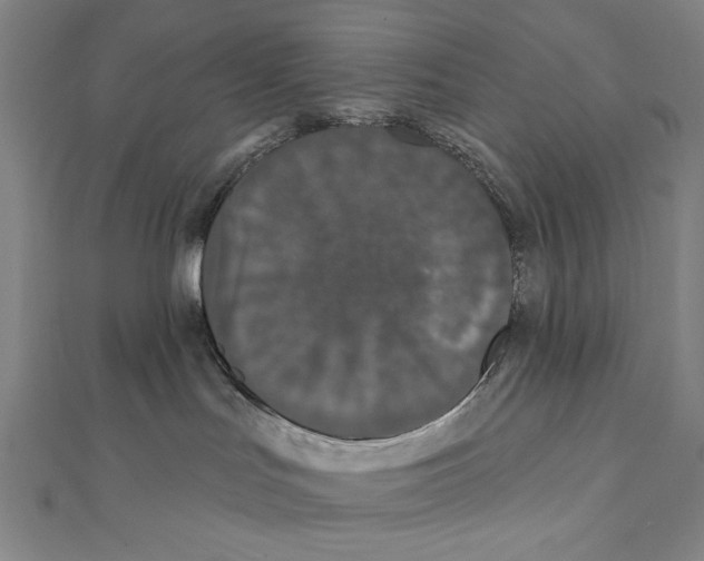 X0000111590047200908271018