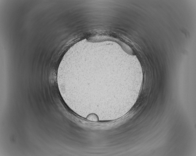 X0000111590048200908271018