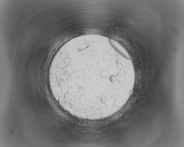 X0000111590049200908271018
