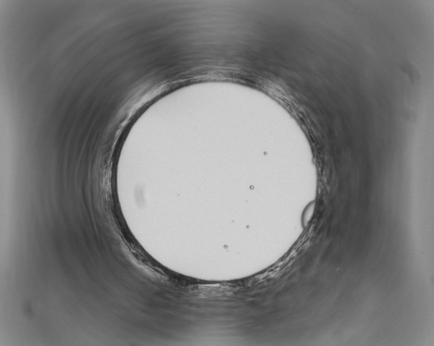 X0000111590050200908271018