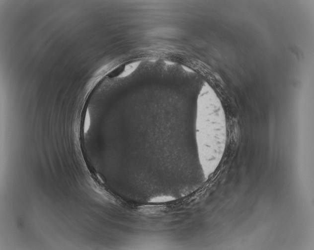 X0000111590051200908271018