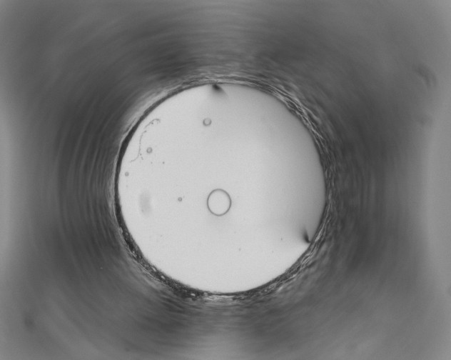X0000111590052200908271018