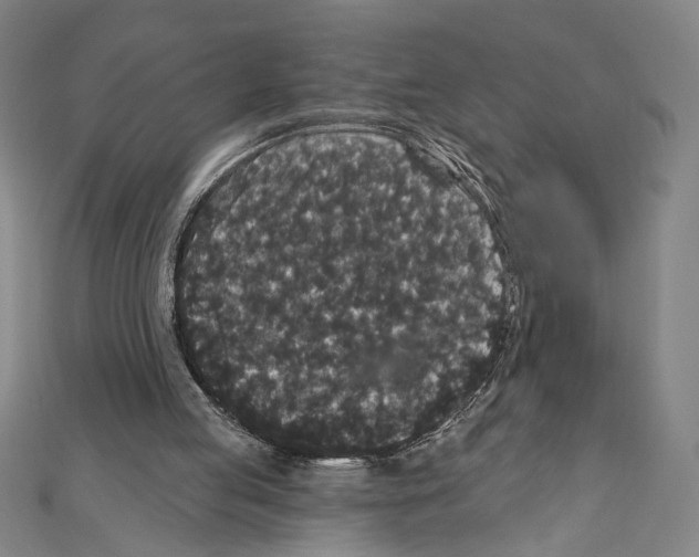 X0000111590053200908271018