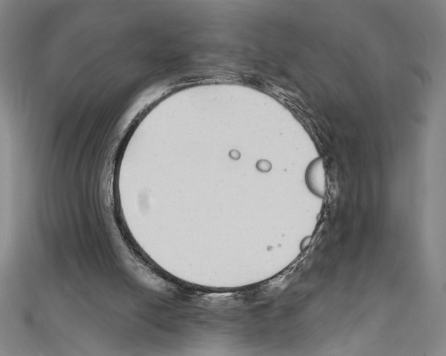 X0000111590054200908271018