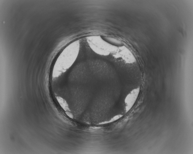 X0000111590055200908271018