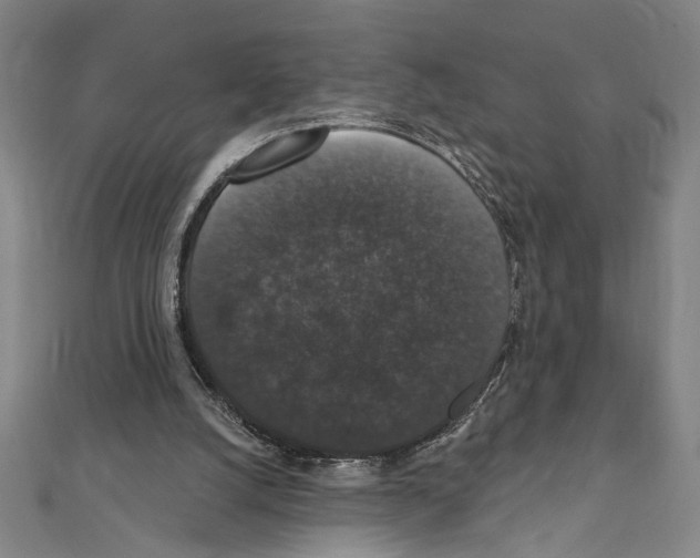X0000111590056200908271018