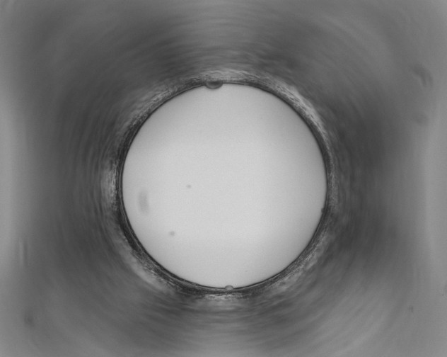 X0000111590057200908271018