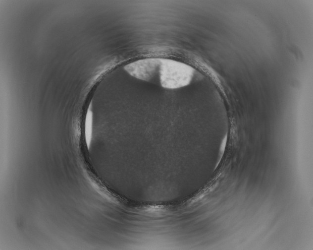 X0000111590059200908271018
