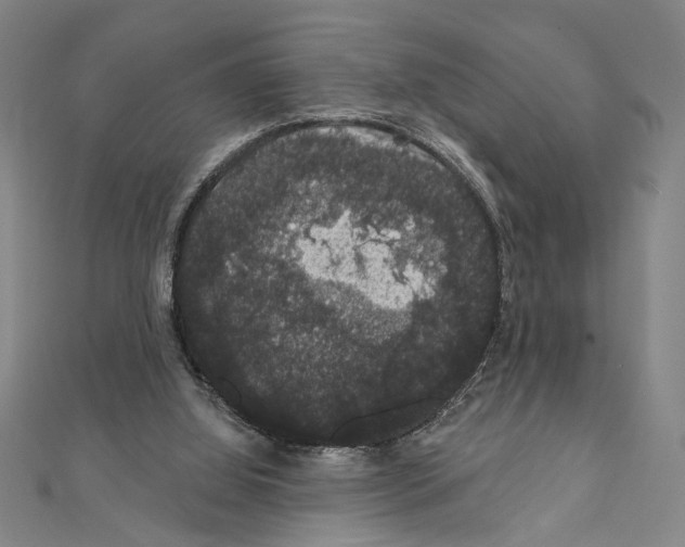 X0000111590060200908271018