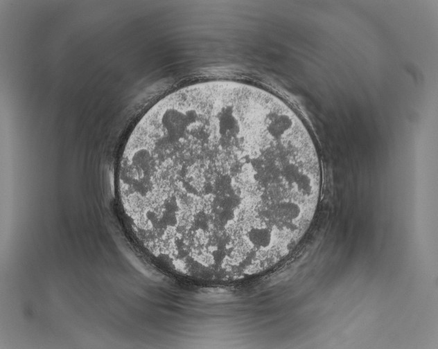 X0000111590061200908271018