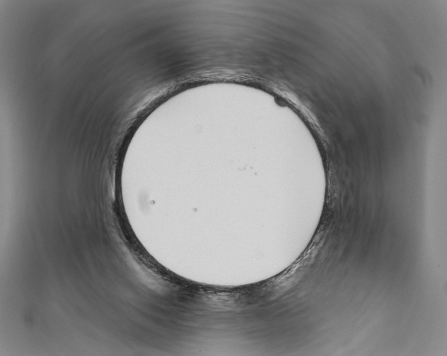 X0000111590062200908271018