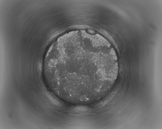 X0000111590063200908271018