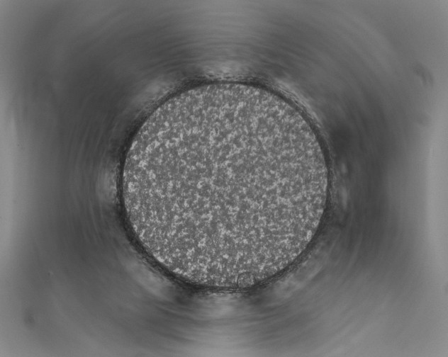 X0000111590065200908271018