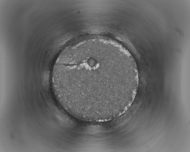X0000111590066200908271018