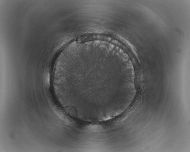 X0000111590067200908271018