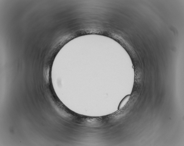 X0000111590070200908271018