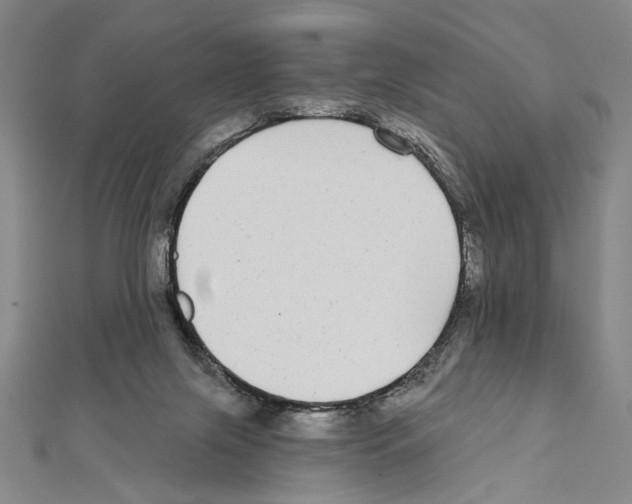 X0000111590071200908271018