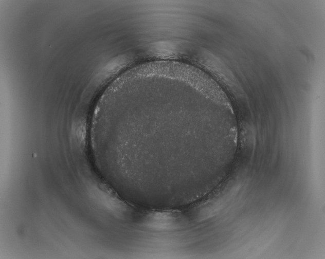 X0000111590072200908271018