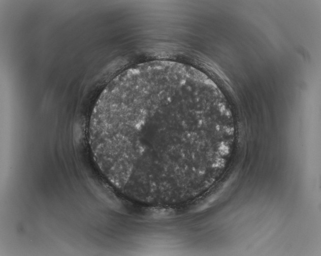 X0000111590073200908271018