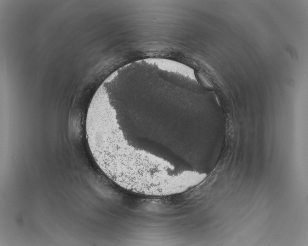 X0000111590074200908271018