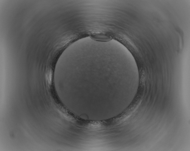 X0000111590076200908271018