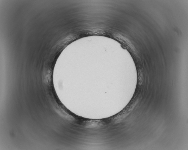 X0000111590077200908271018