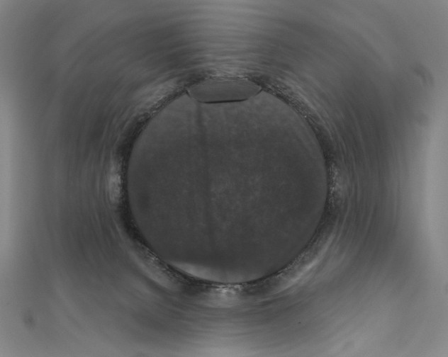 X0000111590080200908271018