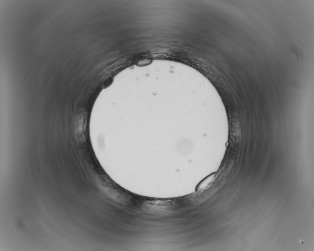 X0000111590082200908271018