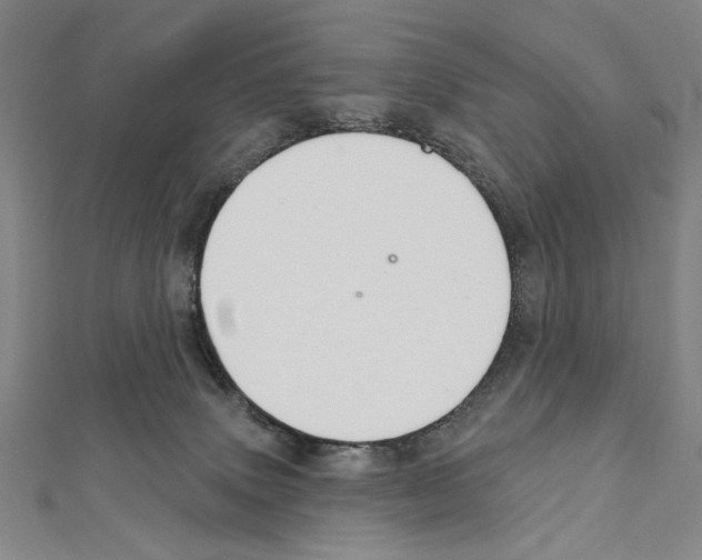 X0000111590083200908271018