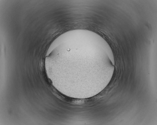 X0000111590084200908271018