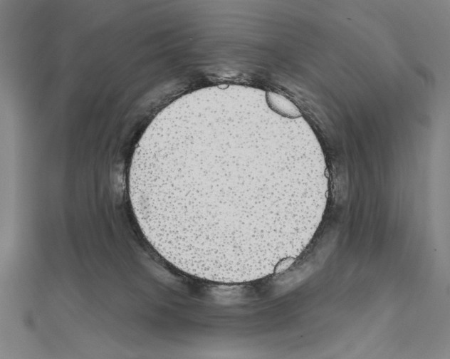 X0000111590085200908271018